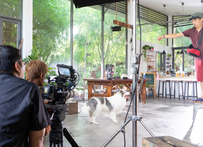 Read more about the article Cho thuê dịch vụ quay video quảng cáo sản phẩm, TVC doanh nghiệp ở tỉnh Bình Định