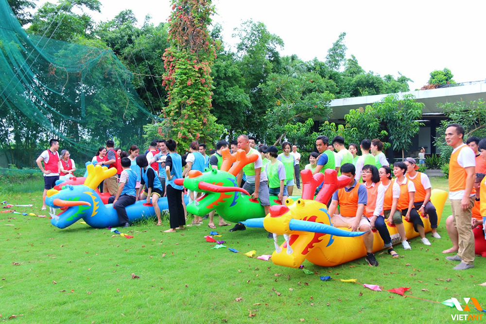 Read more about the article Tổ chức team building tại Gia Lai: Xu hướng mới & dịch vụ trọn gói 2025